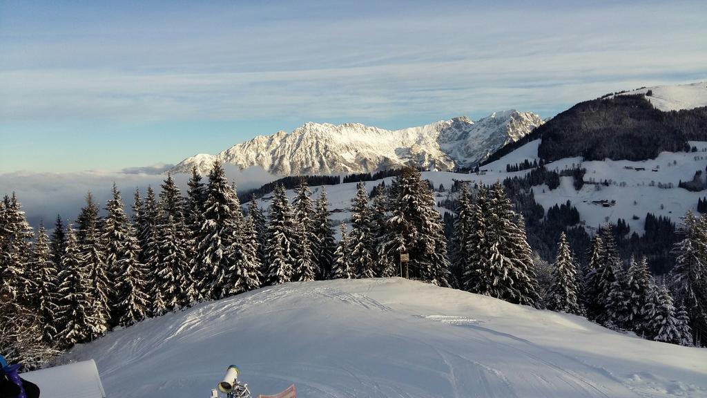 Apartments Scheffau Scheffau am Wilden Kaiser Zewnętrze zdjęcie